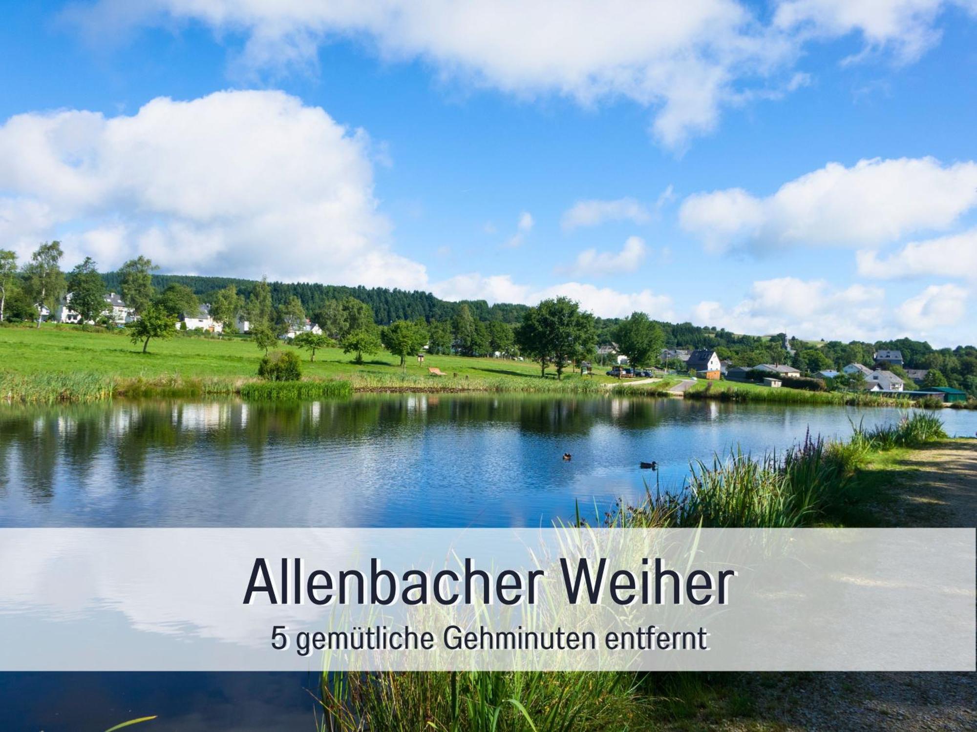 4 Sterne Ferienhaus "Zum Weiher" Allenbach Екстериор снимка